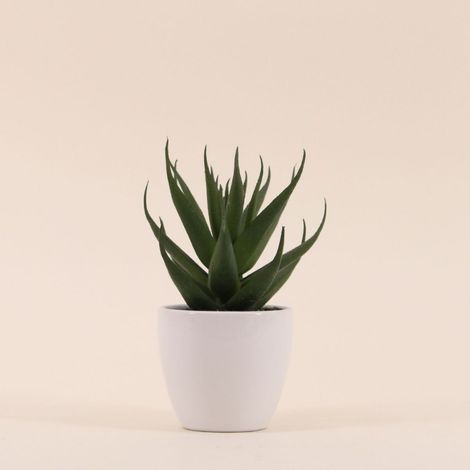 Plante grasse artificielle pot céramique 15cm