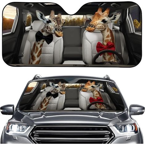 Bache Pare Brise Protection Rigolote, Bison, Couple, Conduite (1/5)