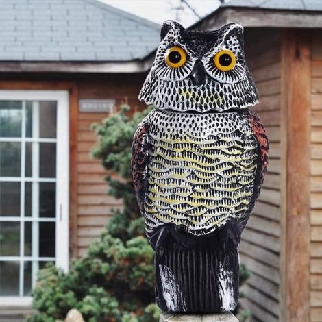 Chouette Jardin Plastique Hibou Décor Statues Extérieur Hibou Patio Tête Rotative à 360 ° Epouvantail Repulsif Oiseaux Anti Pigeon (1/4)