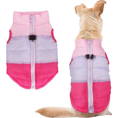 Dog and Cat Coat with Lead Anchor Colour Patchwork Padded for Puppies, Chihuahua, Costumes, Pug, XS, S, M, L (1/5)