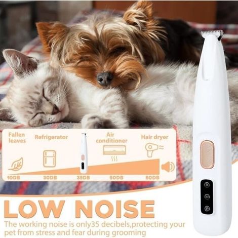 Tondeuse De Pattes De Chien,Poil Long Epais Tondeuse, étanche Tondeuse Sans Fil Pour Chiens, Chats, Pattes, Yeux, Oreilles, Visage
