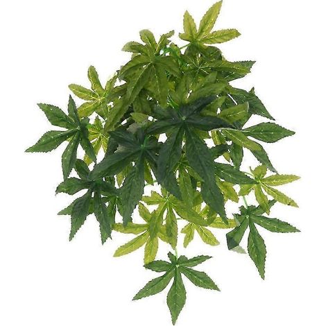 Plante grimpante Repital Jungle pour terrarium, idéale pour les caméléons et les serpents (30 cm).-Type 2 - 30CM