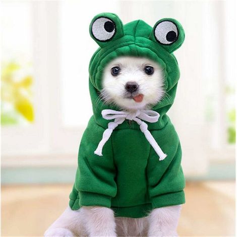 Sweat à capuche pour chien - Manteau basique en forme de grenouille - Veste chaude pour animal domestique - Vêtement d'extérieur pour petits chiens, chats, chiots, petits animaux (taille M) (1/5)