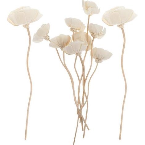 10 bâtonnets diffuseurs de fleurs séchées pour huiles essentielles et arômes-22X4.5CM-White 10 (1/4)