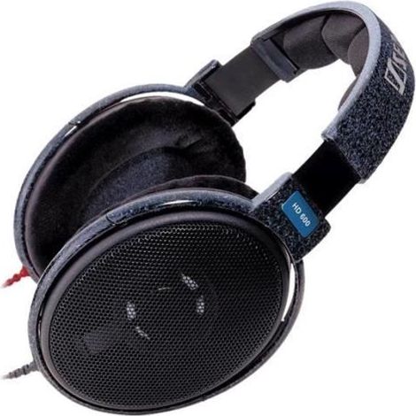 Sennheiser HD 600 Cuffie a grande dimensione jack 3.5mm grigio, nero (1/2)