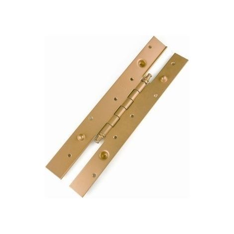 Bisagra Larga 2030X40Cm 105 Laton Derechas Becusa