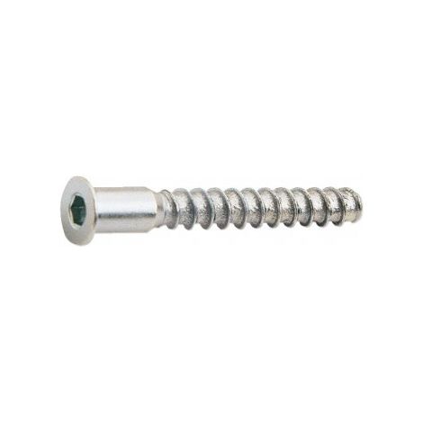 TORNILLO ENSAMBLAR 5X50MM CINC. 6U.EHS - EHLIS