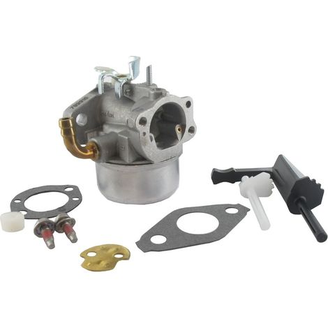 Vergaser BRIGGS ET STRATTON 591299