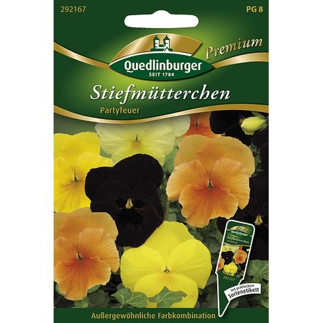 Quedlinburger Stiefmütterchen Partyfeuer - Blumensamen