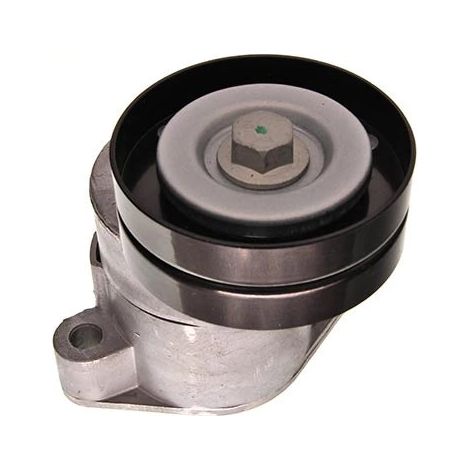 MAXGEAR 54-0463 Galet tendeur de courroie d'accessoire 90411025