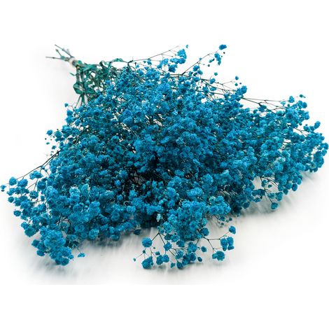 Gypsophila estabilizada - (Gypsophila) - Royal Bouquet - Azul
