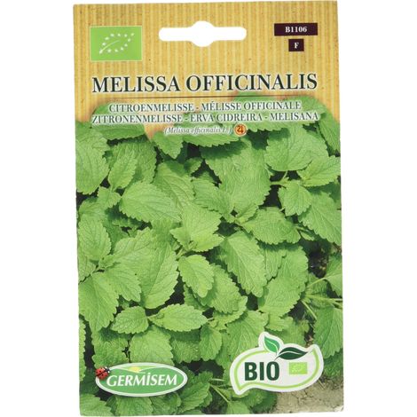Graines Mélisse officinale MELISSA OFFICINALIS (1/5)