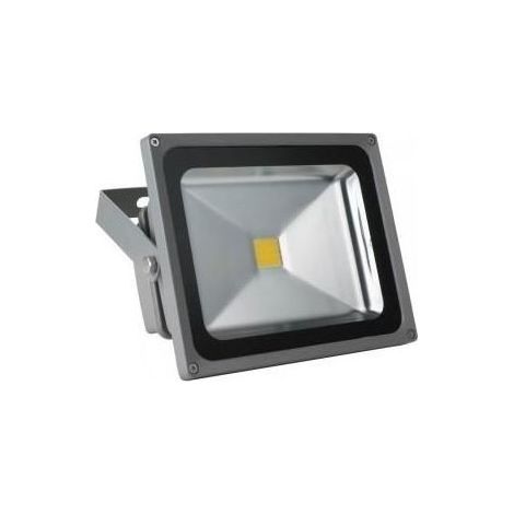 Projecteur LED - EA - 30W - Blanc - Électrique - Extérieur