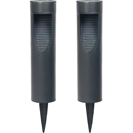 Lot de 2 lampes LED sur bâtonnet pour jardin (1/3)