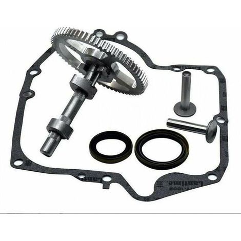 Convient pour Briggs & Stratton 793880 793583 792681 791942 795102 kit de remplacement de came avec joint d\'huile 795387 et joint (1/4)