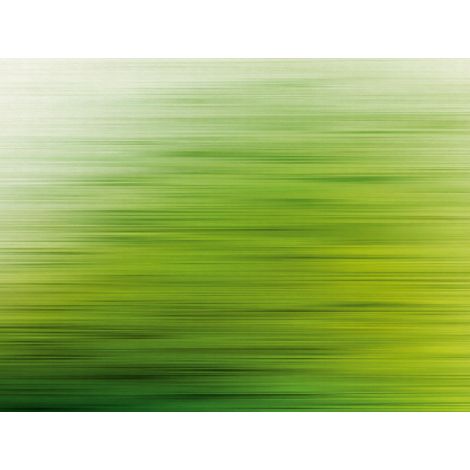 Panoramique Contemporain Vert The Wall A.S. Création (1/3)