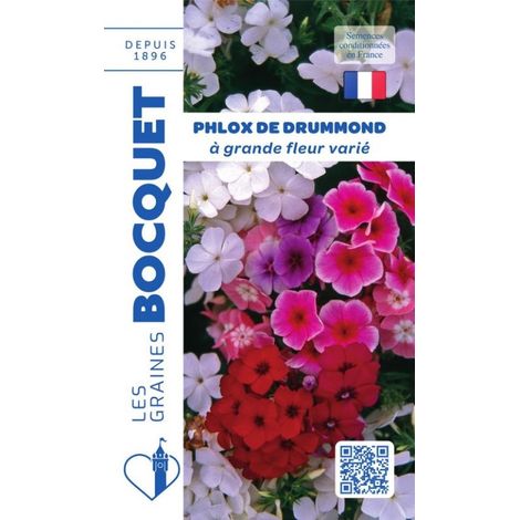 Phlox de Drummond varié - 0,5g