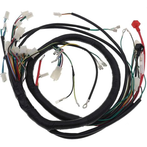 Faisceau de câblage complet à démarrage électrique pour quad, buggy, karting et VTT 200cc, 250cc et 300cc (Atomik Thumpstar). (1/4)