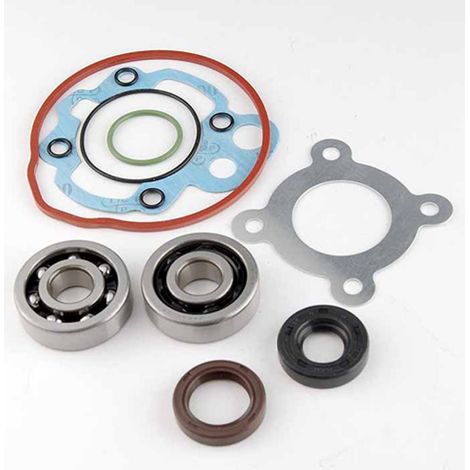 lager oder dichtung spi motor teknix für motorrad mbk 50 x-limit