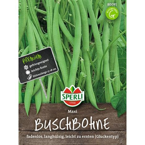 Sperli Buschbohnen Maxi - Gemüsesamen (1/4)