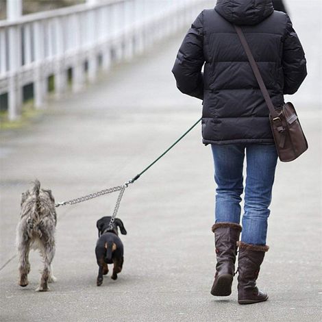 Laisse double chien aluminium 40cm, laisse double tête pour deux chiens, chaîne de traction pour promenade animaux. (1/5)