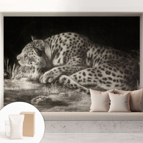 Newroom Tapete Dekorative Vliestapete mit Kleber Modern für Wohnzimmer Schlafzimmer Ruhender Leopard 208x146 cm (1/5)