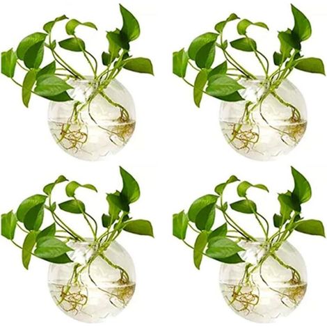4 vasi da appendere in vetro, diametro 10 cm, vasi rotondi in vetro - vasi per piante acquatiche, vasi per fiori aerei, terrari per piante, contenitori per piante (1/4)