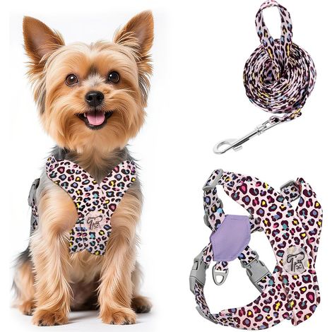 Harnais pour Chiens avec Laisse, Harnais Sécurisé Anti-Traction (1/5)