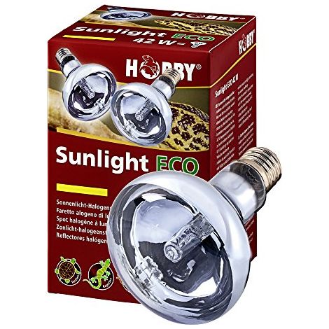 Hobby Sunlight Eco (1/4)