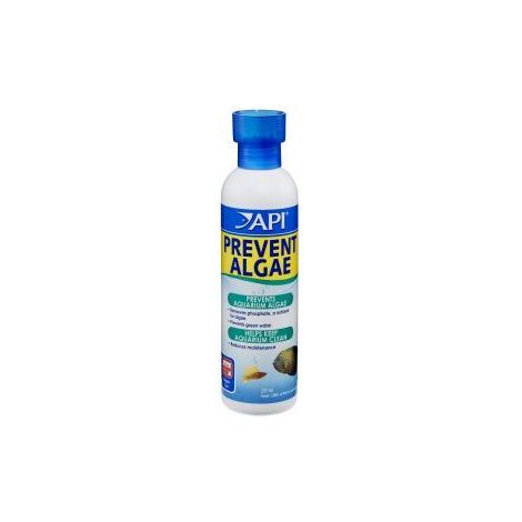 API Liquid Prevent Algae 237ml - 55901