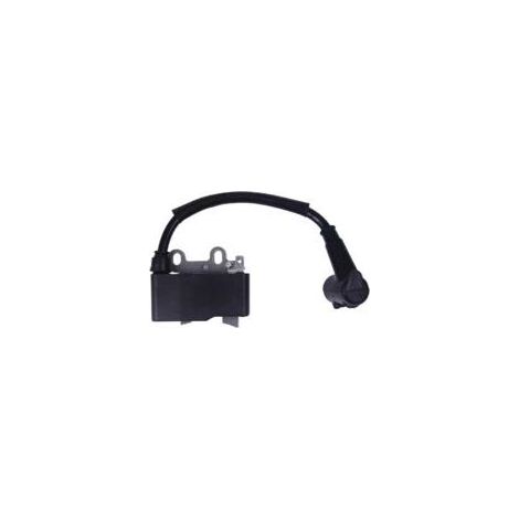 Bobine d'allumage compatible avec les moteurs Echo ES 250 PB250LN PB 252 PB 250. Remplace les références A411000500 et A411000501. (1/4)