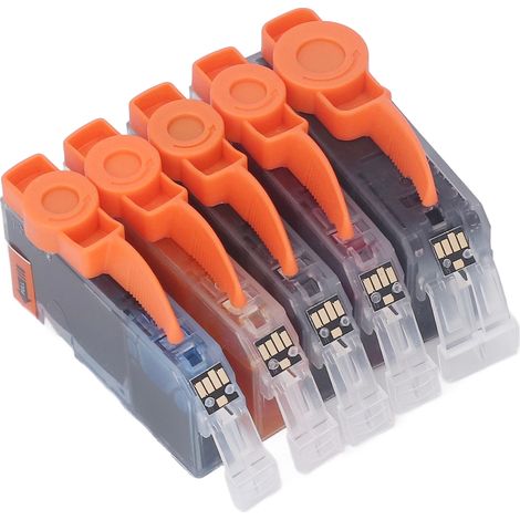 Cartouche d'encre Noir et Couleur, Lot de Remplacement pour PIXMA IP4810 IP4910 IX6510 MG5210 MG5310, BK C M Y (1/5)