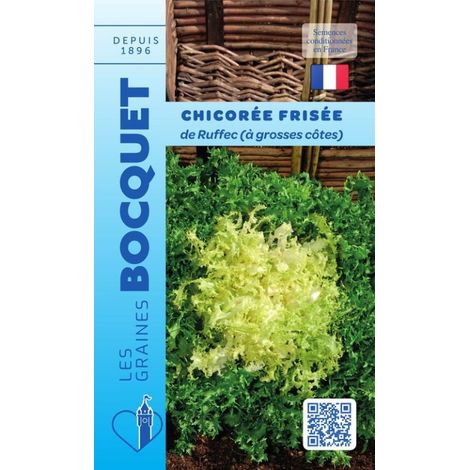 Chicorée frisée de Ruffec (à grosses côtes) - 4g