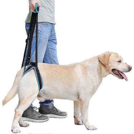 Harnais auxiliaire pour chien de compagnie, ceinture de soutien et de rééducation pour chien âgé ou malade (1/5)