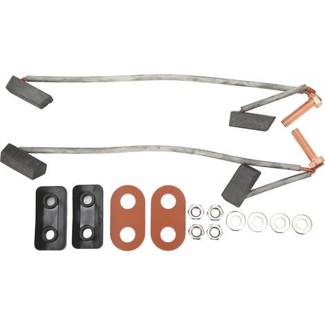 Kit spazzole motore auto Club 520108 102251901, ricambio per G8 G9 G14 G16 elettrico 36V 48V GE. (1/4)