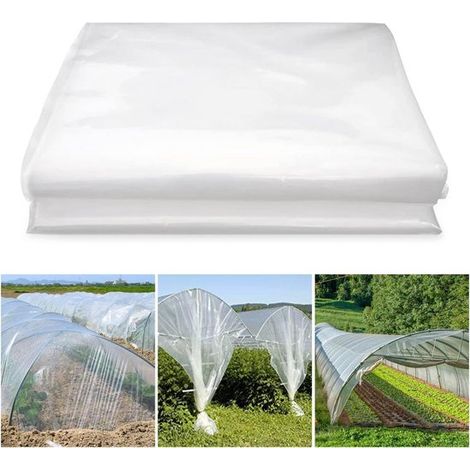 Film de serre transparent 2 x 6 mètres - Réutilisable et solide pour serres et jardins (1/5)