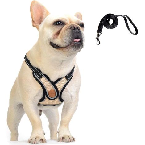 Hundegeschirr- und Leinen-Set, verstellbare Reflektorweste, weich und atmungsaktiv, für Katzen, Hunde und Haustiere, Größe L