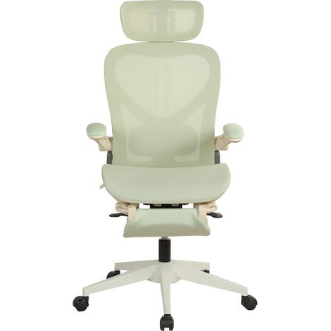 Silla de oficina ergonómica plegable de malla verde con reposacabezas 3D y reposabrazos abatibles (1/5)