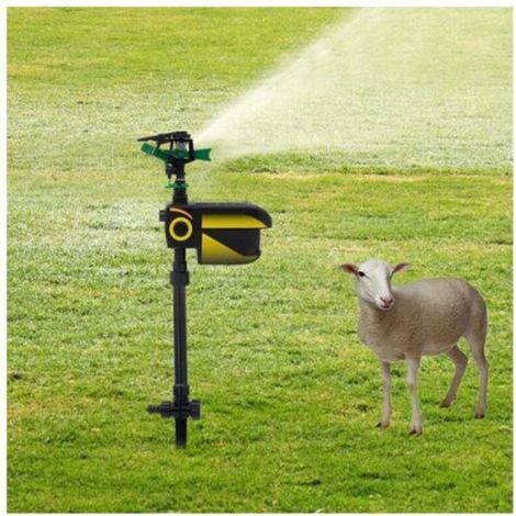 Lot de Jet d'eau répulsif Solaire pour Animaux de Compagnie I Détecteur de Mouvement I Portée 10 m , répulsif pour Chat,19764cm