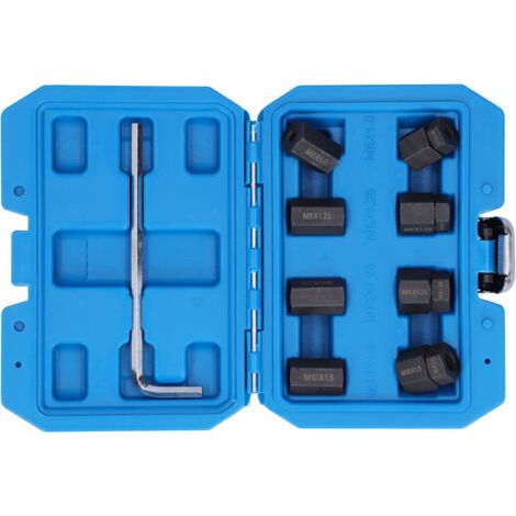 Jeu de 9 extracteurs de goujons - Filetages protégés M10x1,5 M10x1,25 M8x1,25 M6x1,0 (1/5)