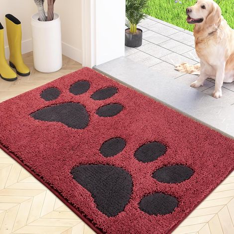 Paillasson Interieur 50 x 80 cm, Tapis d'Entrée Antidérapant et Lavable en Machine, Tapis de Sol Douces Absorbantes pour Chien, Entrée, Porte, Couloir (1/5)