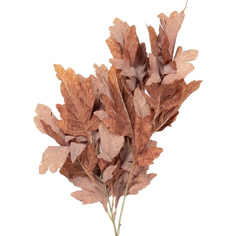 Fleur Artificielle et Branche Décorative en Plastique Marron pour Vase d'Intérieur 104 cm - PANGIVO (1/2)