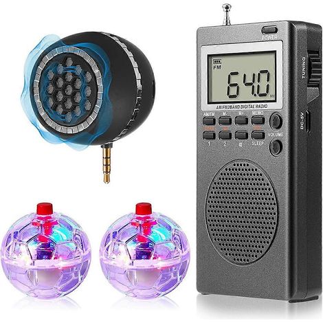 Ein 4-teiliges Spirit-Box-Geräteset, bestehend aus 2 LED-Katzenbällen und 1 Spirit-Box-Lautsprecher, ein übernatürliches Geräteset.