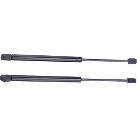 Vérins à gaz de hayon arrière pour Land Rover Range Rover P38 1995-2002 (1/5)