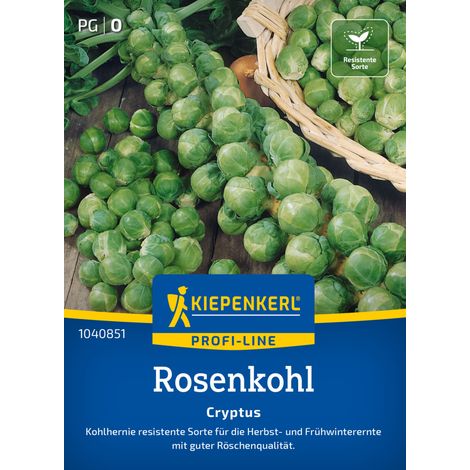 Kiepenkerl Profi-Line Saatgut Rosenkohl Cryptus F1 für ca. 10 Pflanzen (1/2)
