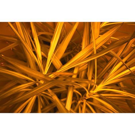 Papier peint panoramique jungle orange | Tapisserie panoramique feuille orange | Papier peint panoramique nature pour salon - 270 x 400 cm (4 pièces) (1/2)