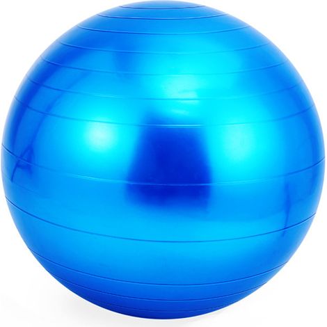 Ballon d'exercice fitness, stabilité, équilibre et musculation – pour renforcement musculaire et travail de l'équilibre, usage salle de sport ou à domicile (1/5)