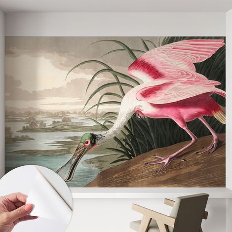 Fotomurale adesivo - Carta da parati adesiva - per la cucina camera da letto per la soggiorno - Uccello esotico 152x104 cm (1/5)