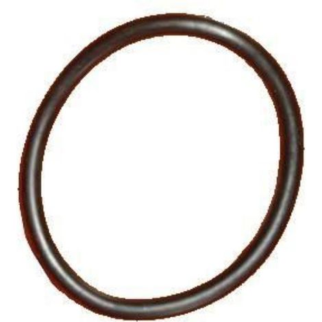 Joint pour projecteur piscine weltico 60857 - ACIS (1/2)
