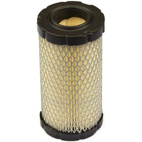 Adatto per il filtro aria BRIGGS AND STRATTON 796031 (1/4)